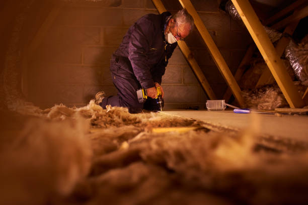 Best Insulation Maintenance and Repair in Graniteville, SC